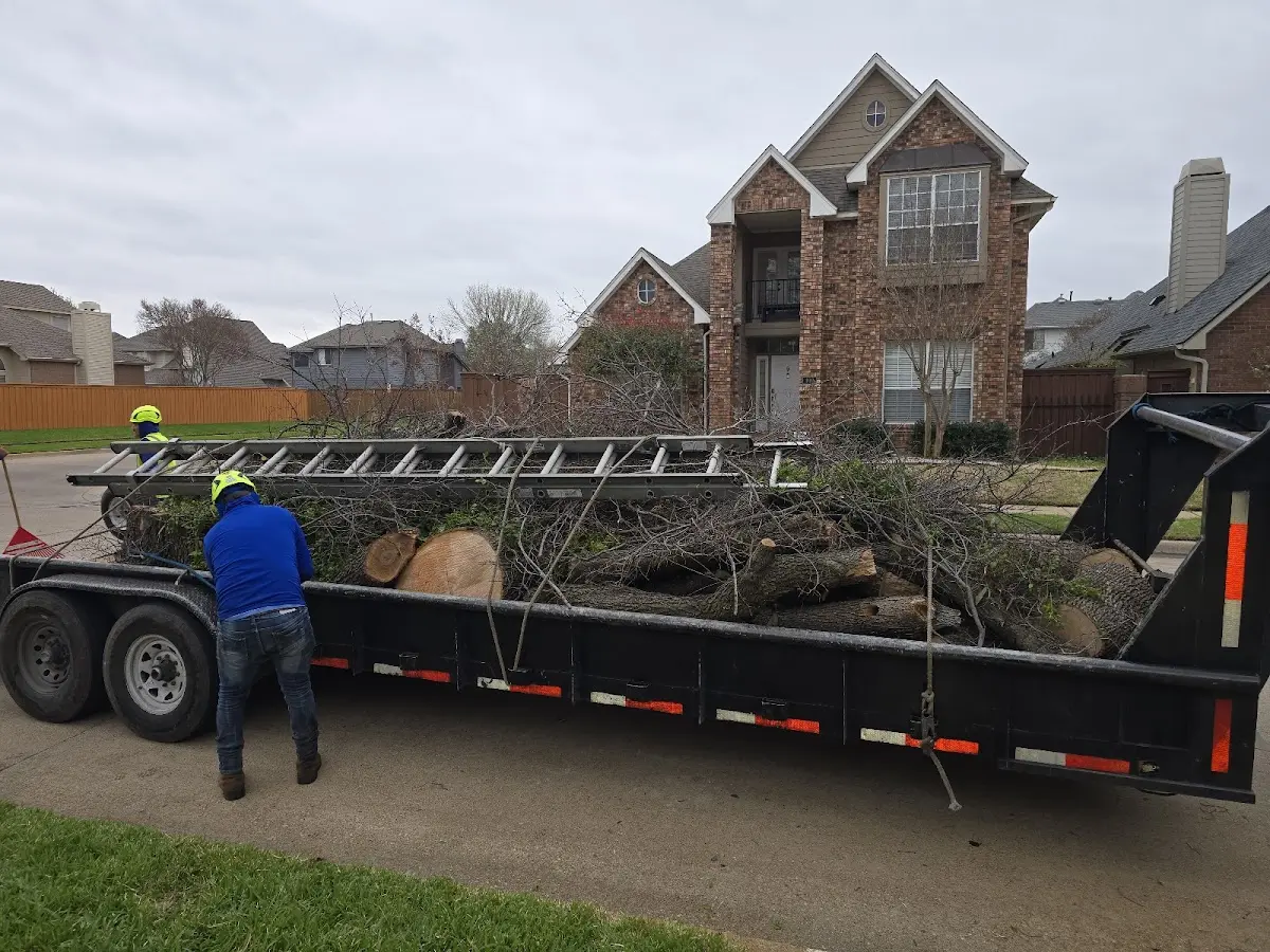 Expert Tree Fertilization with proper safety equipment in Ebensburg